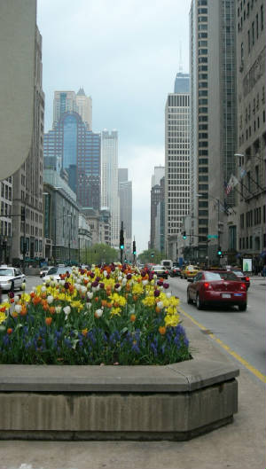 magmile.jpg